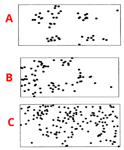 varietà di forme della distribuzione geografica