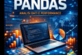Python per il Controllo di Gestione: Analisi Avanzata della Marginalità Retail con Pandas