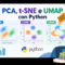 Riduzione della Dimensionalità con Python: 4 Esercizi Pratici su PCA, t-SNE e UMAP